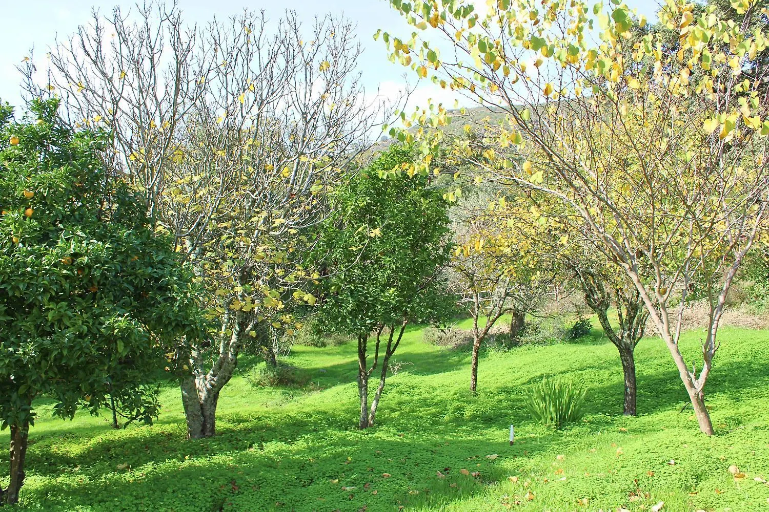 Holiday home La Ermita By Sierra Viva Villa Alajar Spain